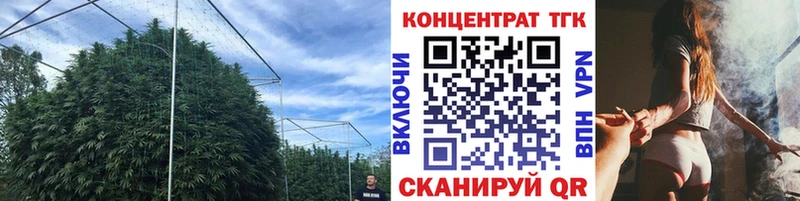 Дистиллят ТГК THC oil  купить наркотик  Благодарный 