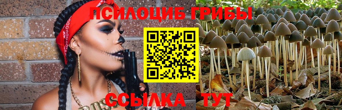 Благодарный  Галлюциногенные грибы ЛСД  Галлюциногенные грибы мухоморы  Вход с VPN 