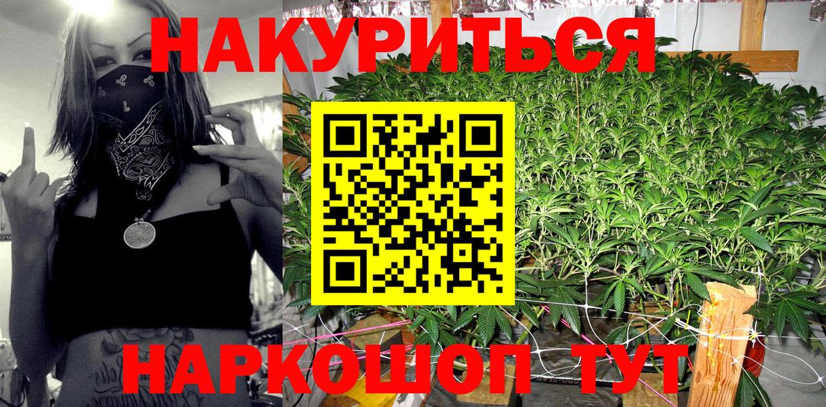 Каннабис гибрид  Канабис OG Kush  Благодарный 