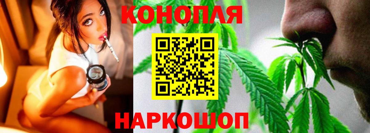 Марихуана гибрид  Вход с VPN  Бошки Шишки план  Благодарный 